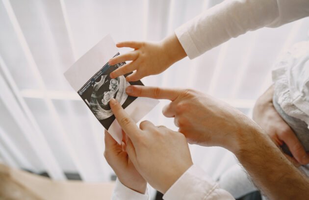 IVF treatment in Dubai at Lakeshore Clinic, covering fertility assessment, ovarian stimulation, egg retrieval, embryo transfer, and personalized fertility care.
